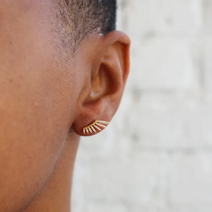 Flying Wings Diamonds Earrings Celine DAoust Earrings