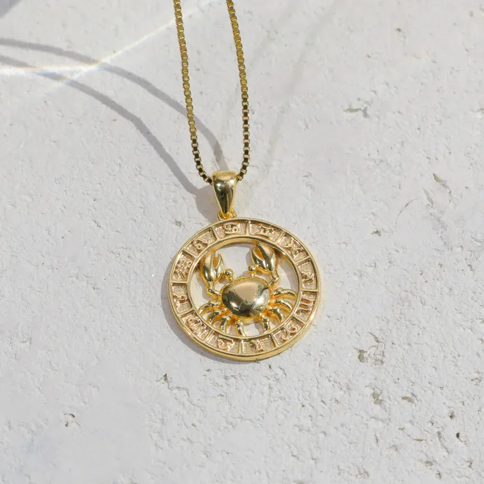 Necklaces Zodiac Coin Necklace Vivamacity